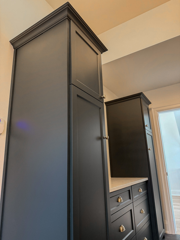 NalezinskiGrimsbynewbuildcustomcabinetry-27
