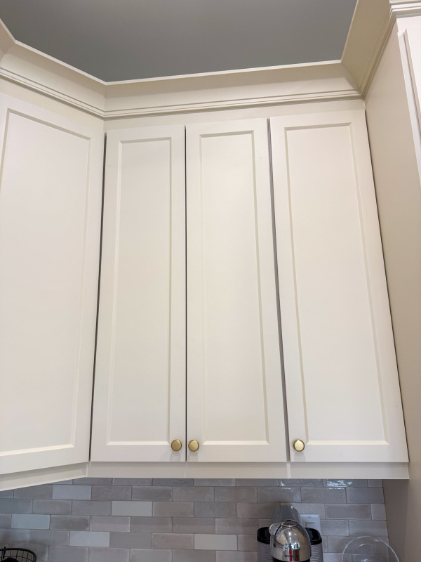 NalezinskiGrimsbynewbuildcustomcabinetry-37